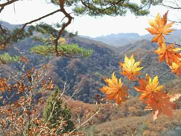 葉縣最新信息，城市發(fā)展新篇章，民生福祉持續(xù)提升，葉縣城市發(fā)展新篇，民生福祉與日俱增